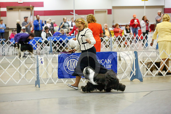 _JJ_8163-AmarilloSept2014-HR3