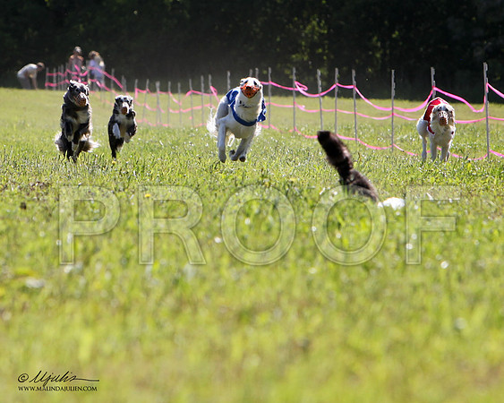 2SR-IMG_5986HR