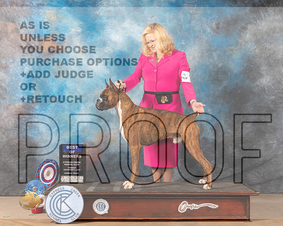 Boxer #? Fri BOWWD Judge Rick Blanchard_MMJ_3750-CCKC2021-HR3