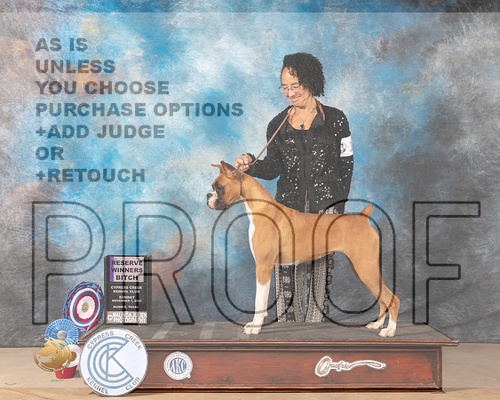 Boxer #16 Sun RWB Judge Shalisa Neely_MMJ_3743-CCKC2021-HR3