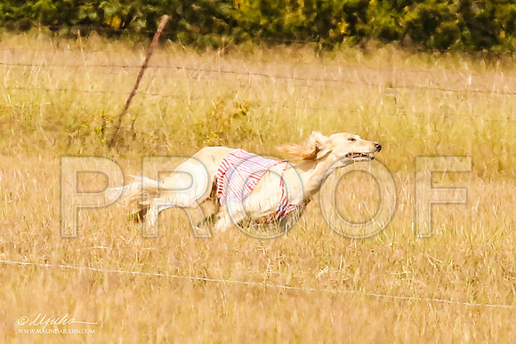 _MJ_4772-AfgBeltonOct2014-HR3