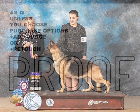 German Shepherd Dog #14 Sun BOB Judge Jill Warren_MMJ_3758-CCKC2021-HR3