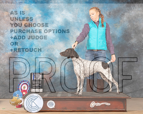 German Shorthaired Pointer #10 Sun BOW Judge Barbara Burns_MMJ_3699-CCKC2021-HR3