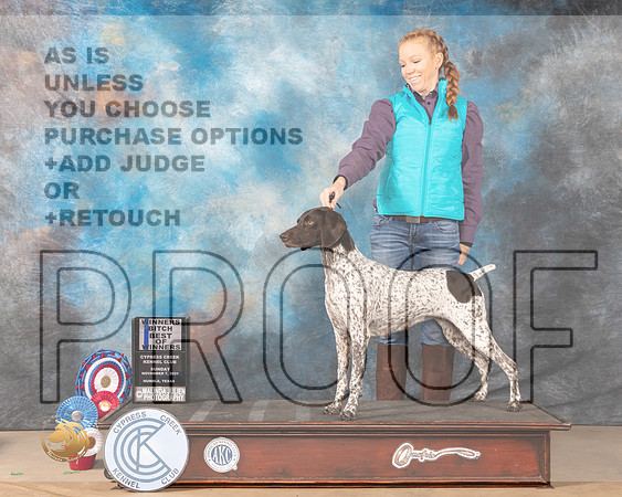 German Shorthaired Pointer #10 Sun BOW Judge Barbara Burns_MMJ_3700-CCKC2021-HR3