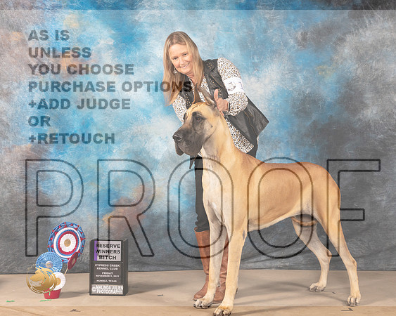 Great Dane #10 Fri RWB Judge Rick Blanchard_MMJ_3704-CCKC2021-HR3
