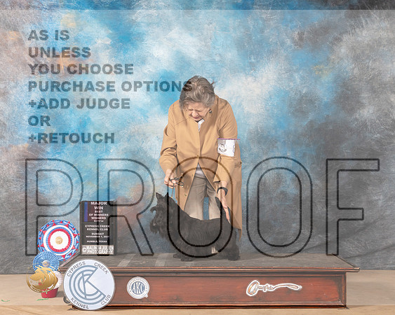 Scottish Terrier #8 Sun BOW Judge Mary Carberry_MMJ_3795-CCKC2021-HR3