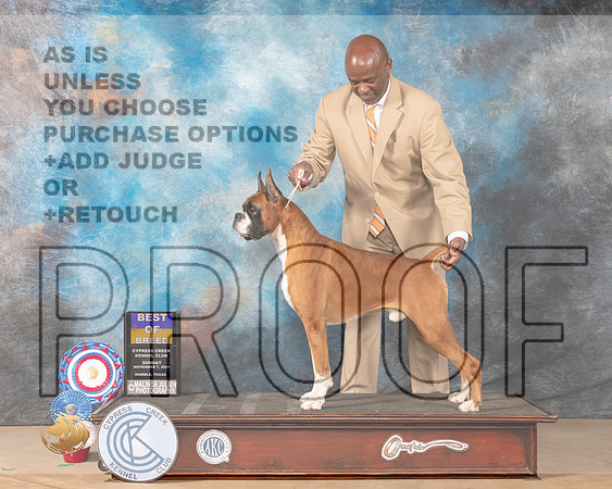 Boxer #21 Sun BOB Judge Shalisa Neely_MMJ_3777-CCKC2021-HR3