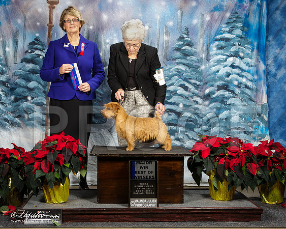 _ST_8822-DallasDec2014-HR3