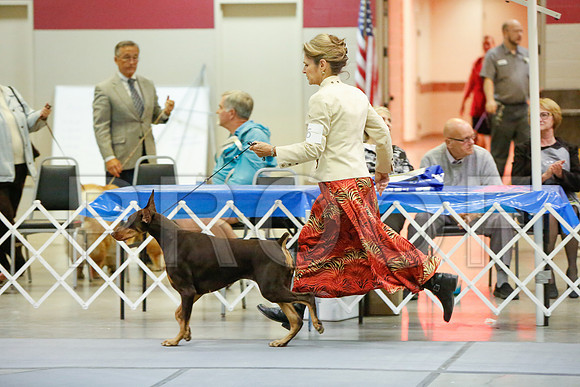 _JJ_5834-AmarilloSept2014-HR3