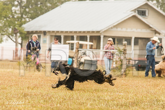 _MJ_2897-AfgBeltonOct2014-HR3