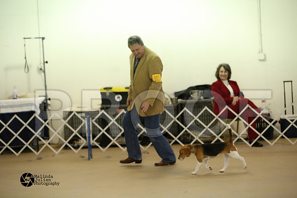 beag-0455-HtoJan14-HR