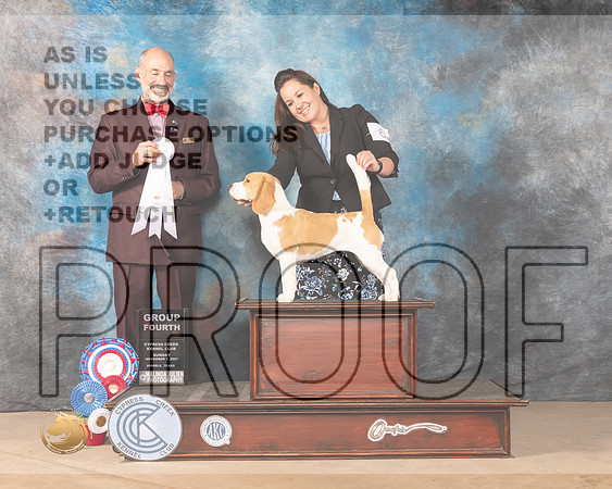 Beagle 15 #6 Sun G4 Judge KENNETH H LEVISON_MMJ_4096-CCKC2021-HR3