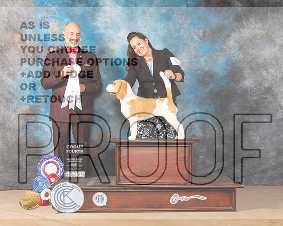 Beagle 15 #6 Sun G4 Judge KENNETH H LEVISON_MMJ_4098-CCKC2021-HR3