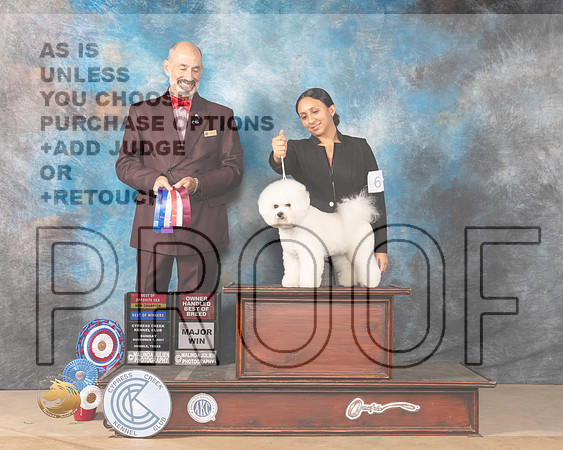 Bichon Frise #6 Sun BOSBOW Judge Kenneth Levinson_MMJ_3809-CCKC2021-HR3