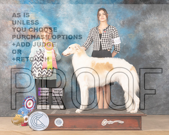 Borzoi #J600 Sun Judge Diane Landstrom_MMJ_4034-CCKC2021-HR3
