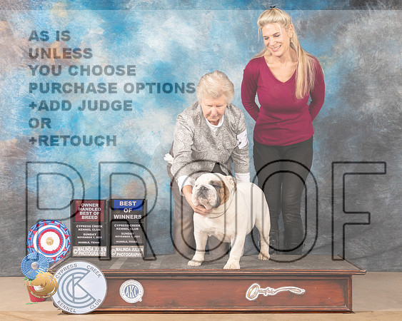 Bulldog #11 Sun BOWOHBOB Judge Diane Landstrom_MMJ_3857-CCKC2021-HR3