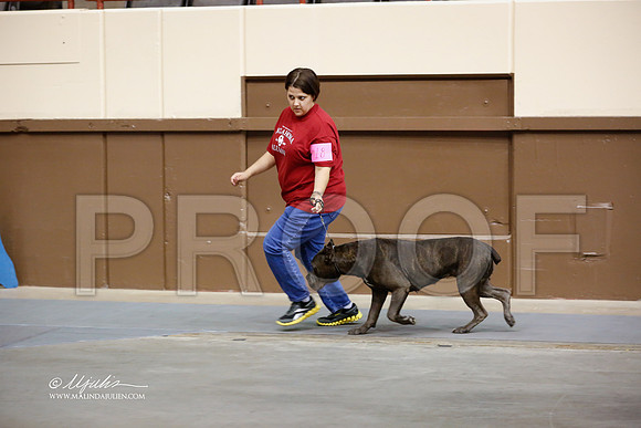 Cane-2280-SANov13-HR