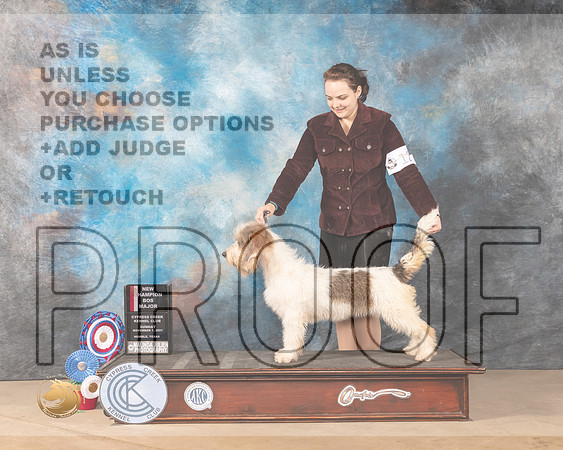 GBGV #12 Sun BOS Judge Shalisa Neely_MMJ_4113-CCKC2021-HR3