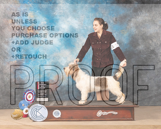 GBGV #12 Sun BOS Judge Shalisa Neely_MMJ_4110-CCKC2021-HR3