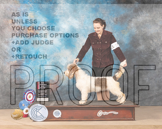 GBGV #12 Sun BOS Judge Shalisa Neely_MMJ_4114-CCKC2021-HR3