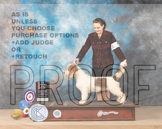 GBGV #12 Sun BOS Judge Shalisa Neely_MMJ_4115-CCKC2021-HR3