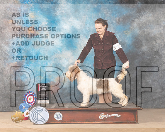 GBGV #12 Sun BOS Judge Shalisa Neely_MMJ_4116-CCKC2021-HR3