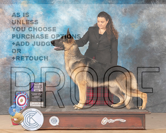 German Shepherd Dog #9 Sun WD Judge Jill Warren_MMJ_3945-CCKC2021-HR3