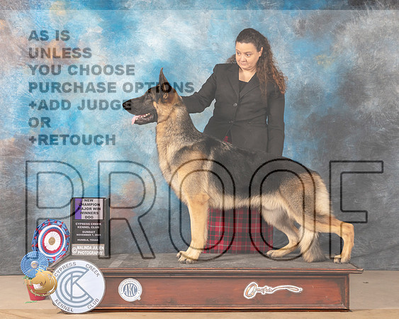 German Shepherd Dog #9 Sun WD Judge Jill Warren_MMJ_3948-CCKC2021-HR3