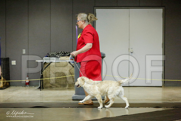 _RH_0974-BeltonJan2015IABCA-HR3
