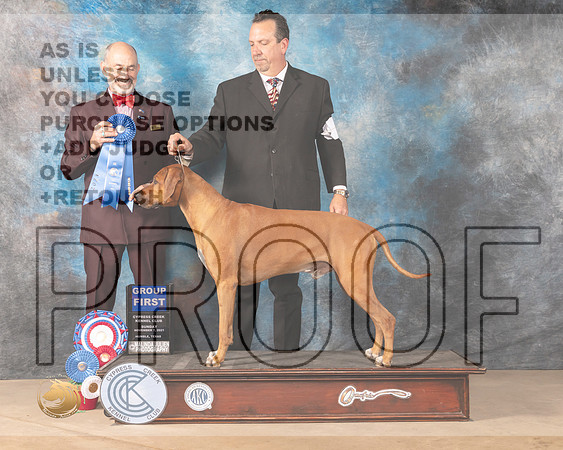 Rhodesian Ridgeback #7 Sun G1 Judge KENNETH H LEVISON_MMJ_4086-CCKC2021-HR3