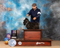 Scottish Terrier #15 Sun BOSWD Judge MARY JANE CARBERRY