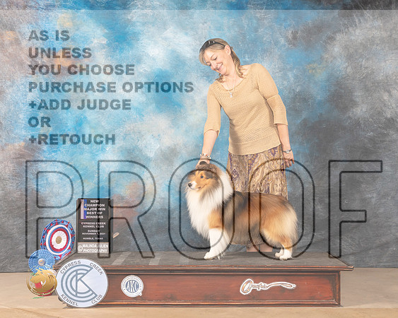 Shetland Sheepdog #19 Sun BOW Judge Vicki Sandage_MMJ_4030-CCKC2021-HR3