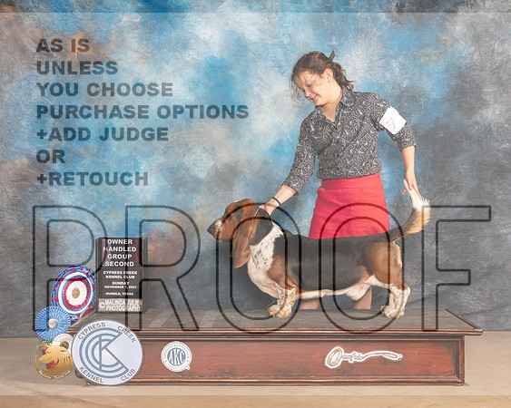 Basset Hound #7 Sun OHG2 Judge Diane Landstrom_MMJ_4136-CCKC2021-HR3