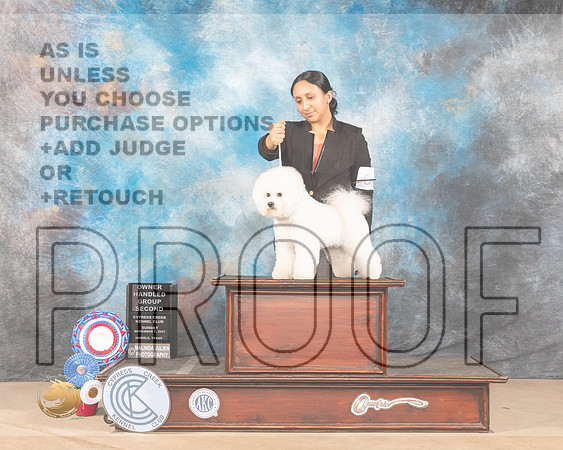 Bichon Frise #6 Sun OHG2 Judge Shalisa Neely_MMJ_4250-CCKC2021-HR3