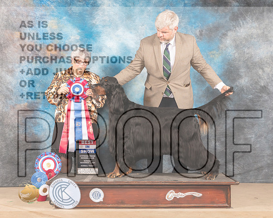 Gordon Setter #5 Sun BIS Judge Barbara Burns_MMJ_4330-CCKC2021-HR3