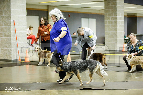 _JJ_7043-BeltonJan2015IABCA-HR3