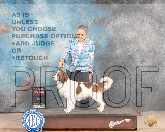 Kooikerhondje #5 Sat G2 Judge Pat Trotter-MMJ_4134-Abilene2022-HR3