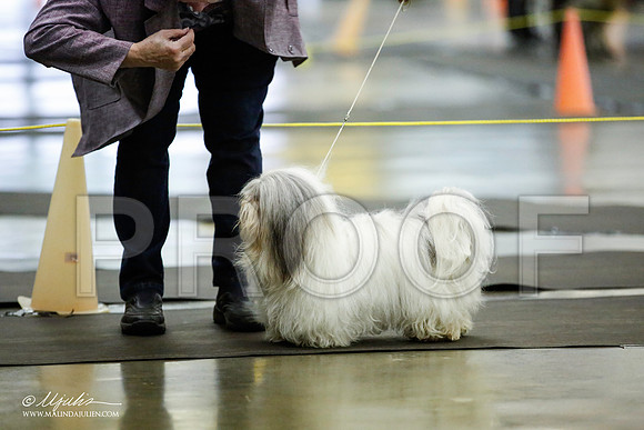_JJ_5516-BeltonJan2015IABCA-HR3