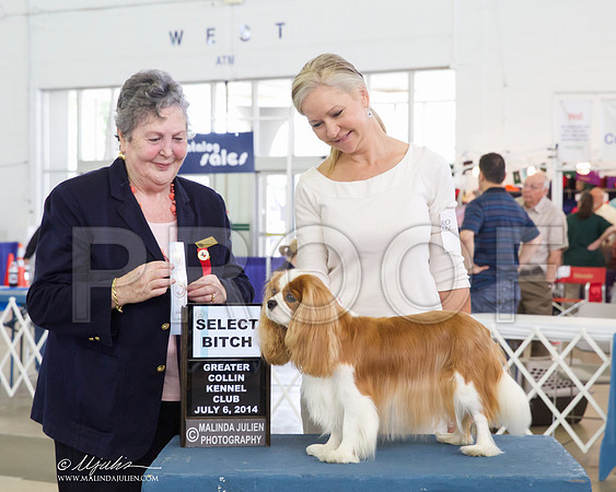 _CL_7481-DallasJul2014-HR3