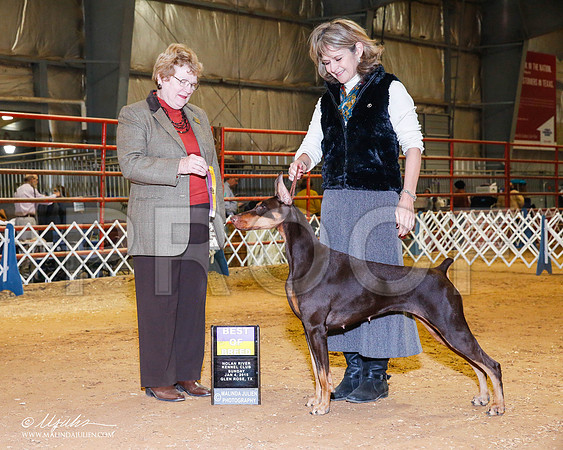 _RH_8964-2-GlenRoseJan2015-HR3
