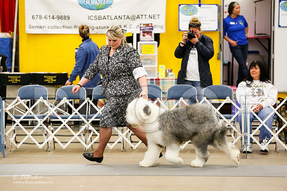 _RH_2216-AddisonHuskyMar2015-HR3