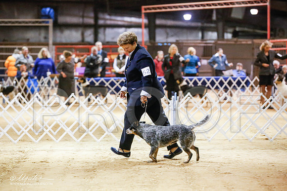 _JN_4745-2-GlenRoseJan2015-HR3