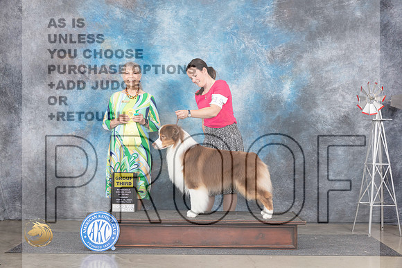 Australian Shepherd #19 Sun G3 Judge Jill Warren__JP_6494_Amarillo_2024_HR3
