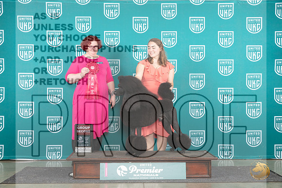 Poodle Std #1259 Fri G2 Judge Tracy Karsjens__JP_1810_Premier_2024_HR3