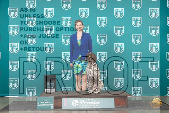 German Shorthaired Pointer #215 Thurs Top10RM 5th Judge Terri Rein__JP_2342_Premier_2024_HR3