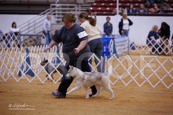 husky-3301-GRJan14-HR