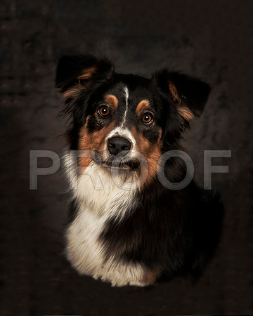 SSR_5461e-©JulienLambert.com-HR6