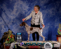 German Shorthaired Pointers #15 Sun BOW Dunaway Jennie Judge P Trotter J+