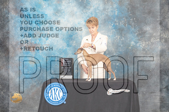 Italian Greyhound #6 Sun WBBOS Judge Tim Robbins_MJ_0354_HstnTOY_2022_HR3
