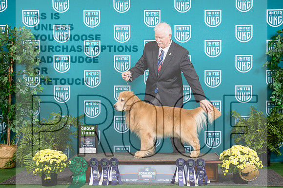 Golden Retriever #137 Sat G3__JP_2715_UKCTDI2024_HR3